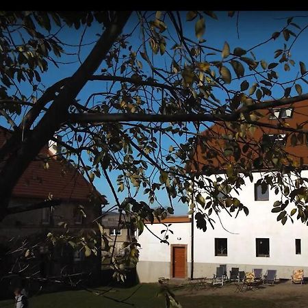 Wyspa Koni - Urocze Gospodarstwo Agroturystyczne Ostroszowice Екстериор снимка
